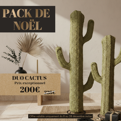 ALT cactus décoratifs intérieur et extérieur pour cadeau de Noël