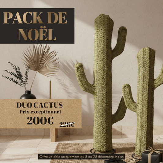 ALT cactus décoratifs intérieur et extérieur pour cadeau de Noël